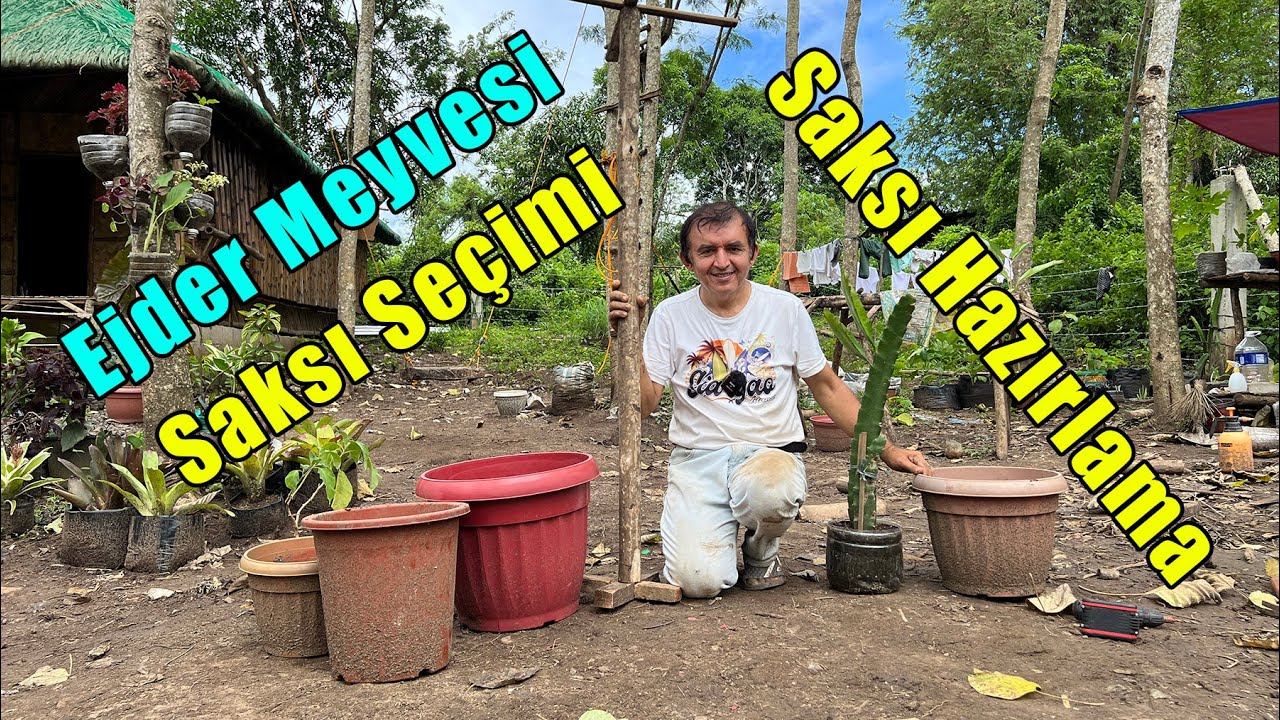 Ejder Meyvesi Dikimi Saksı Seçimi, Saksı Hazırlanması