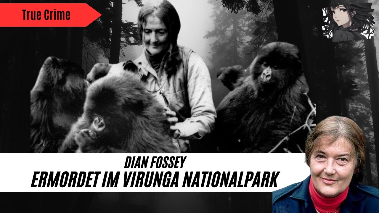 Sie hatte viele Feinde I Der Fall Dian Fossey I True Crime Doku I 2024