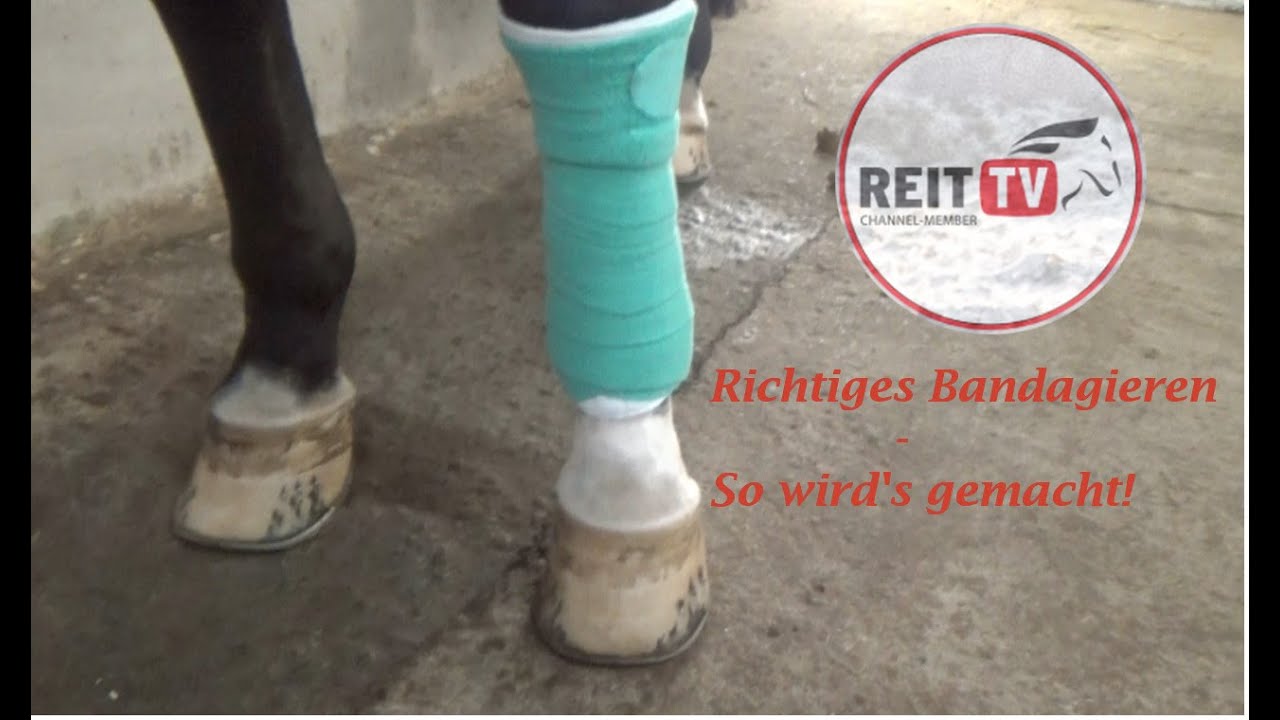 Richtiges Bandagieren - So wird's gemacht - REITTV