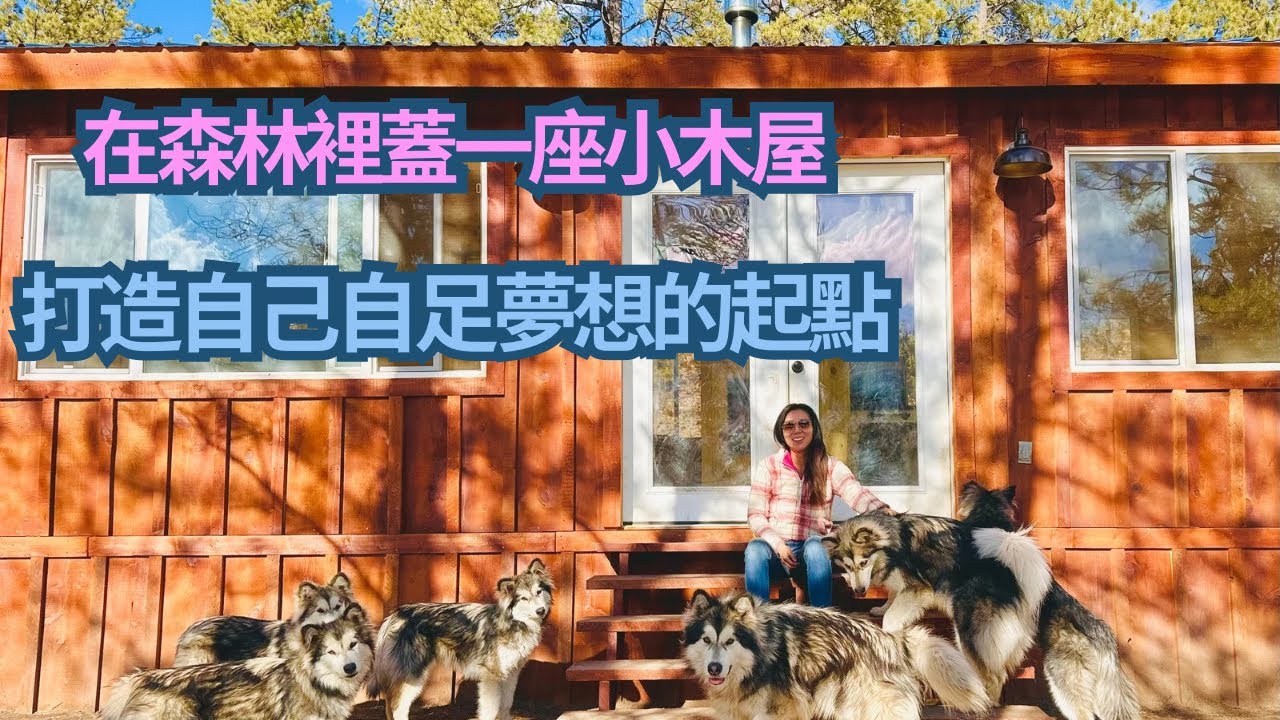 帶大家來看我的家🏡如何在沒有水電的森林裡生活，與黑熊當鄰居🐻森林生活帶給我的驚喜與挑戰