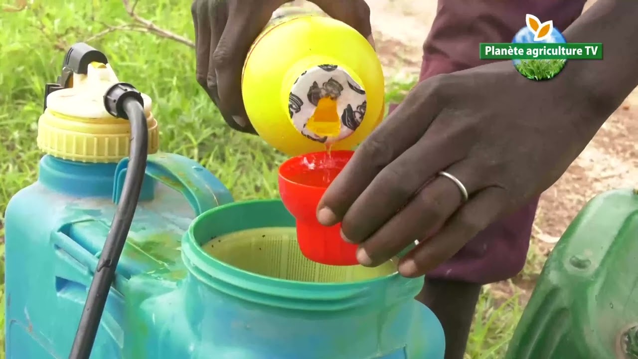Utilisation des pesticides et herbicides non homologué au Burkina Faso un problème de santé publique