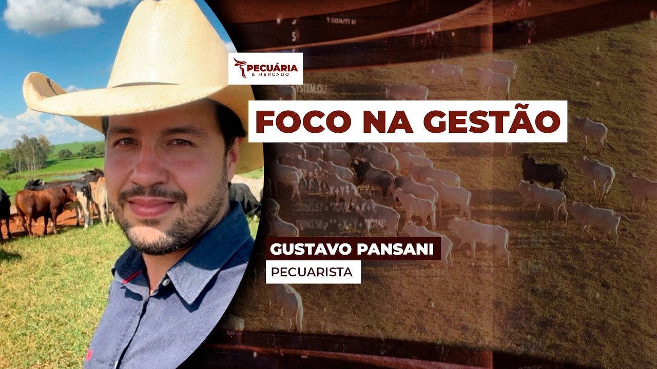 Intensificação da pecuária, com foco na gestão, potencializa resultados numa propriedade de 63...