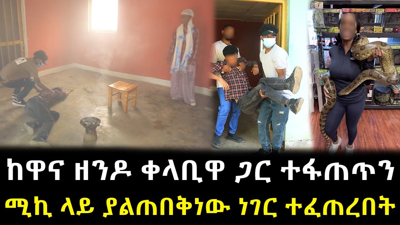 ከዋና ዘንዶ ቀላቢዋ ጋር ተፋጠጥን  ሚኪ ላይ ያልጠበቅነው ነገር ተፈጠረበት !!