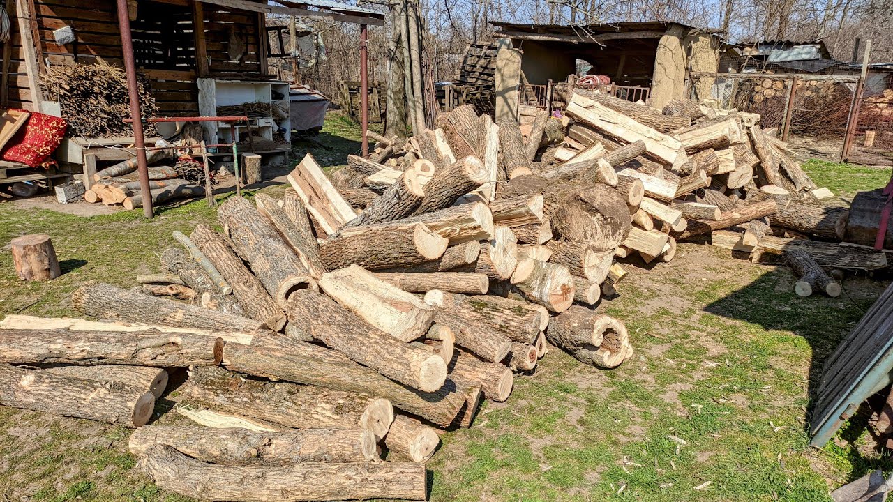 Au venit și lemnele de frasin
