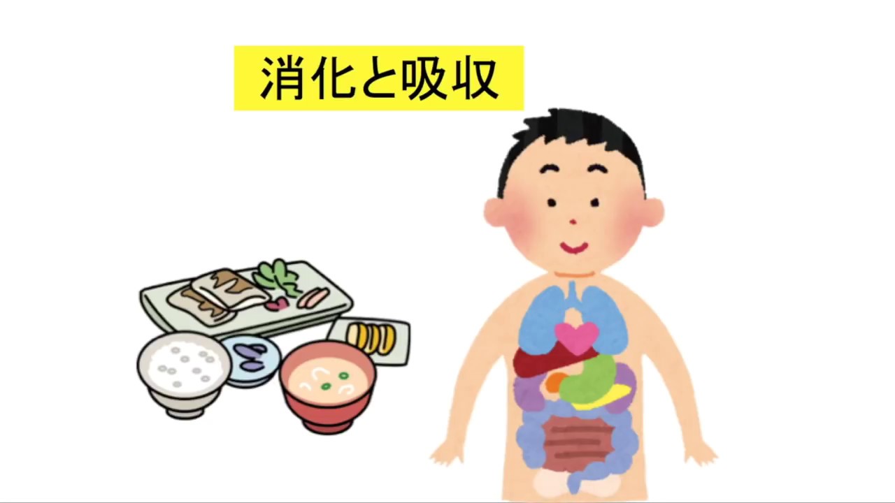 人体（消化と吸収）。だ液を使った、ヨウ素液・ベネジクト液の実験をしています。