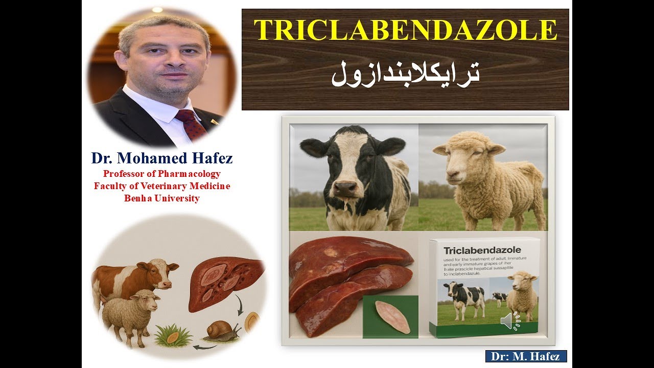 ترايكلابندازول (للديدان الكبديه في الحيوانات)  TRICLABENDAZOLE