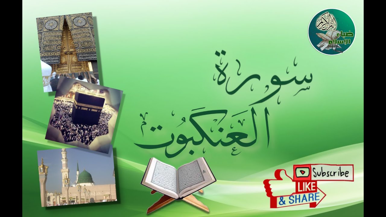 سورة العنكبوت من آية 24 إلى آية 26 مكررة