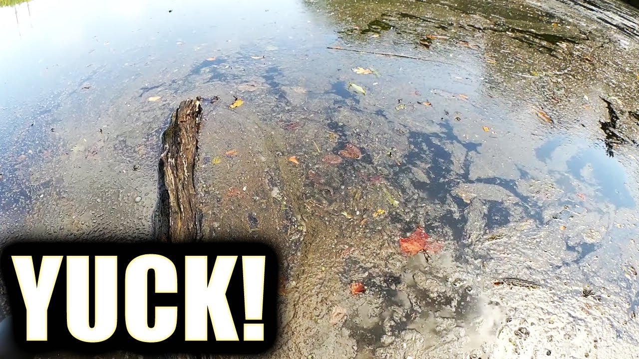 Fishing In SCUM - Can I Catch Fish in Disgusting Lake Water?