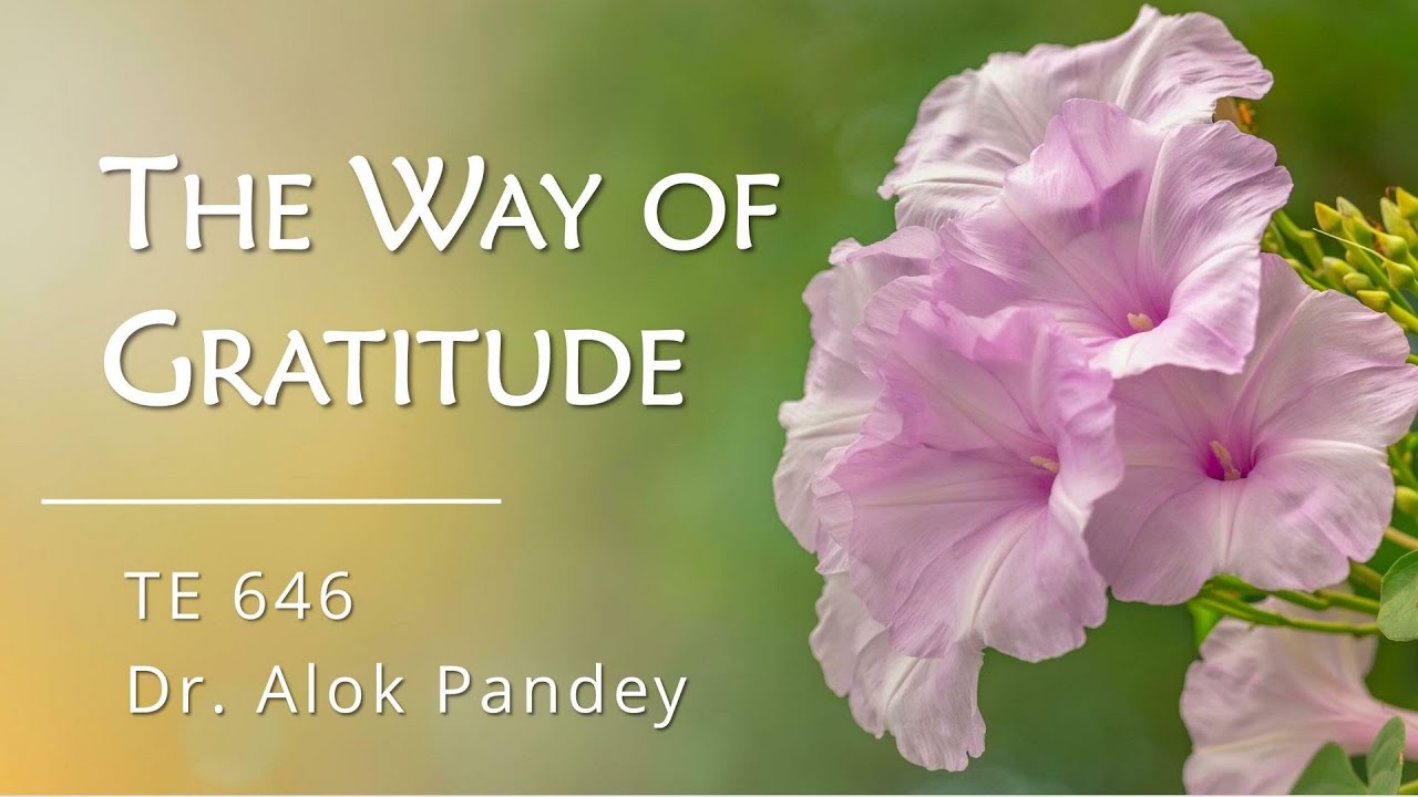 The Way of Gratitude  ||  TE 646  ||  Dr. Alok Pandey