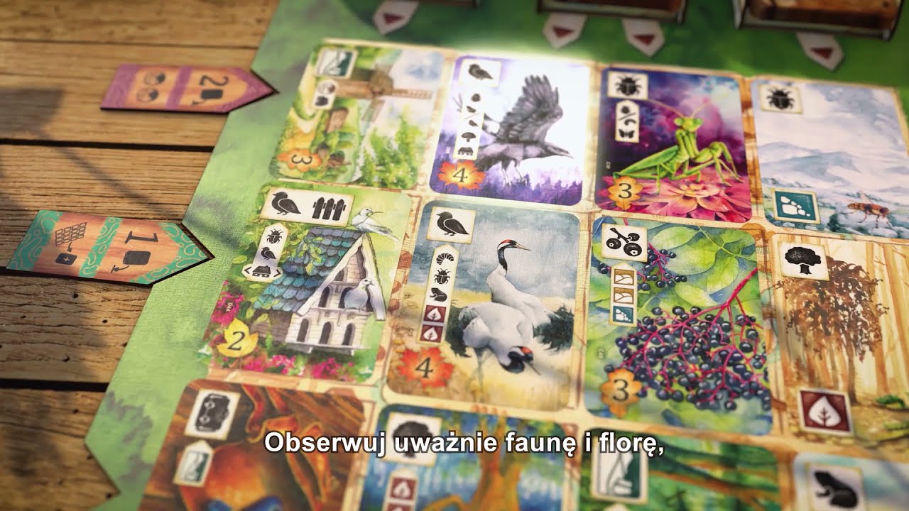Rebel Studio - Łąka: polska gra planszowa o pięknie przyrody