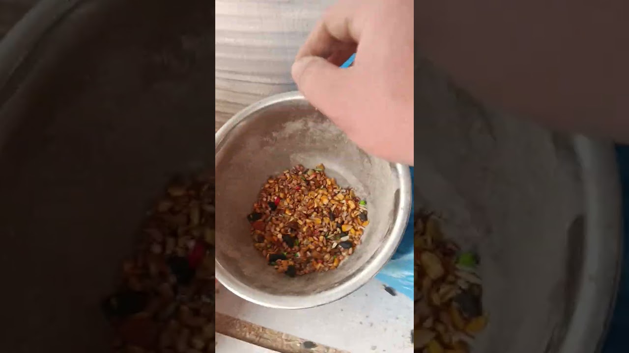 Имронбек индийский урдак бизнес