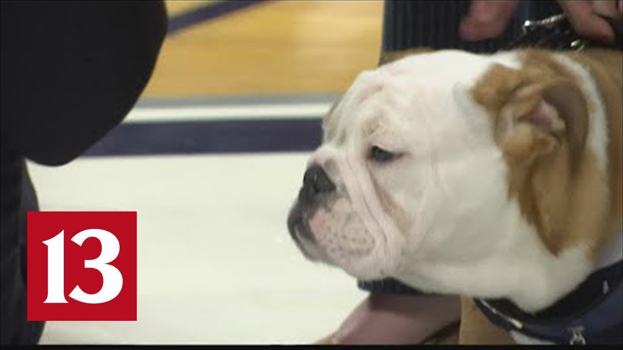 Butler Blue on Netflix