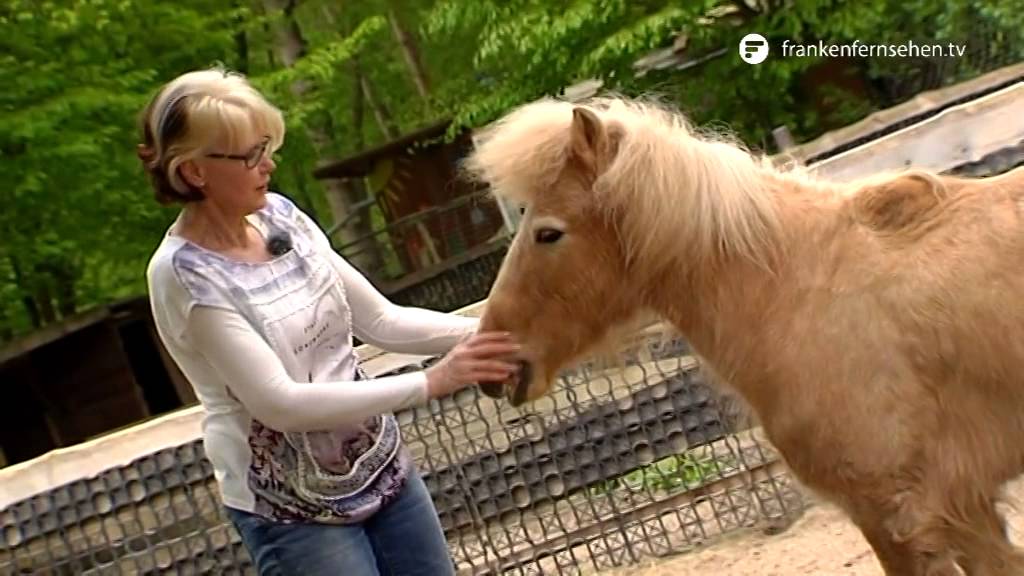 Ergreifende Schicksale auf dem Gnadenhof in Pegnitz