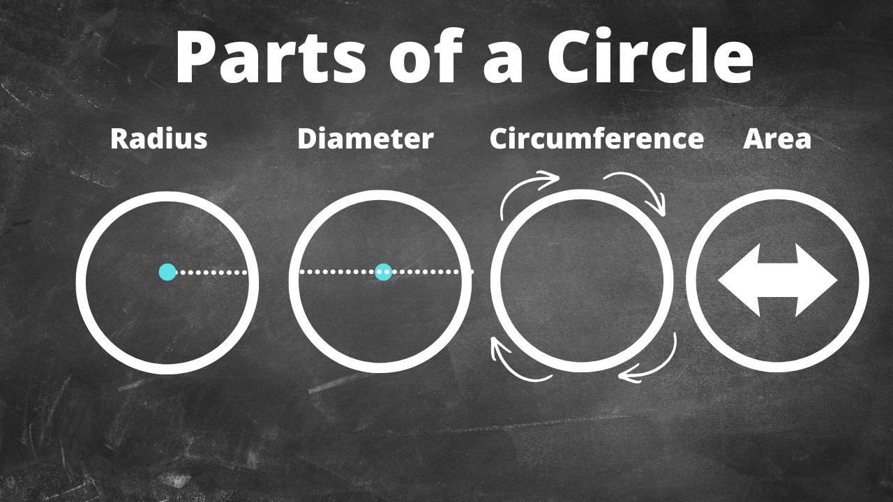 Parts of a Circle - The Basics plus Circumference and Area