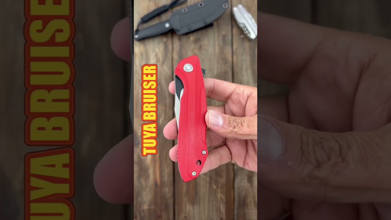 3 Awesome Affordable Clip Point Knives! #shorts #youtubeshorts