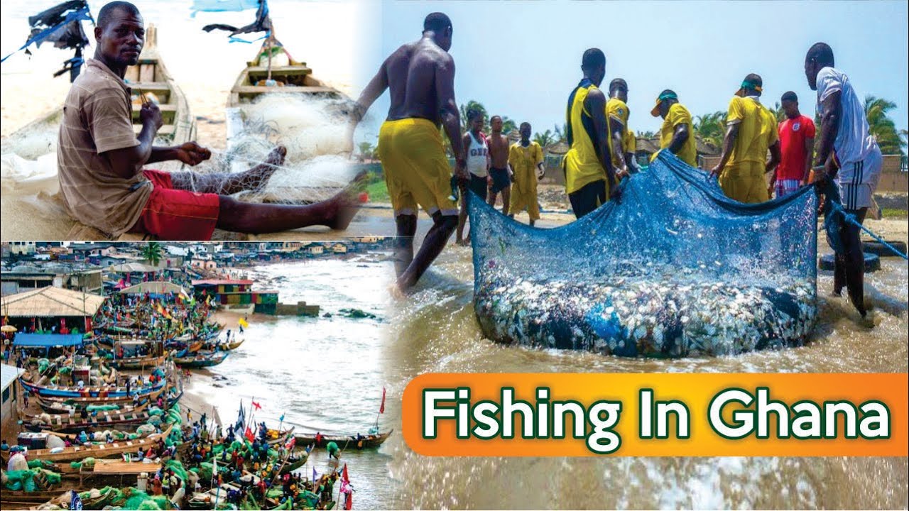 FISHING IN GHANA  🇬🇭| Sekondi Fishing Harbour | Living in Ghana as a Fisherman | Africa