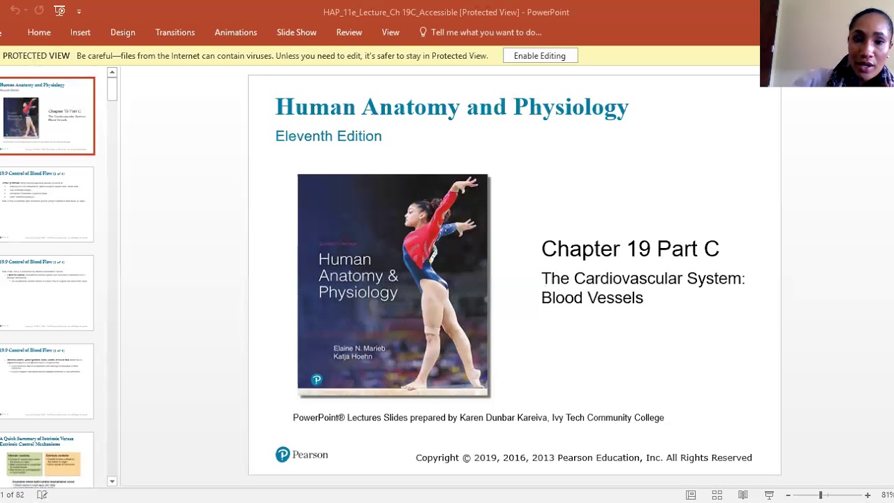 Chapter 19 - Part III: Cardiovascular System, Blood Vessels