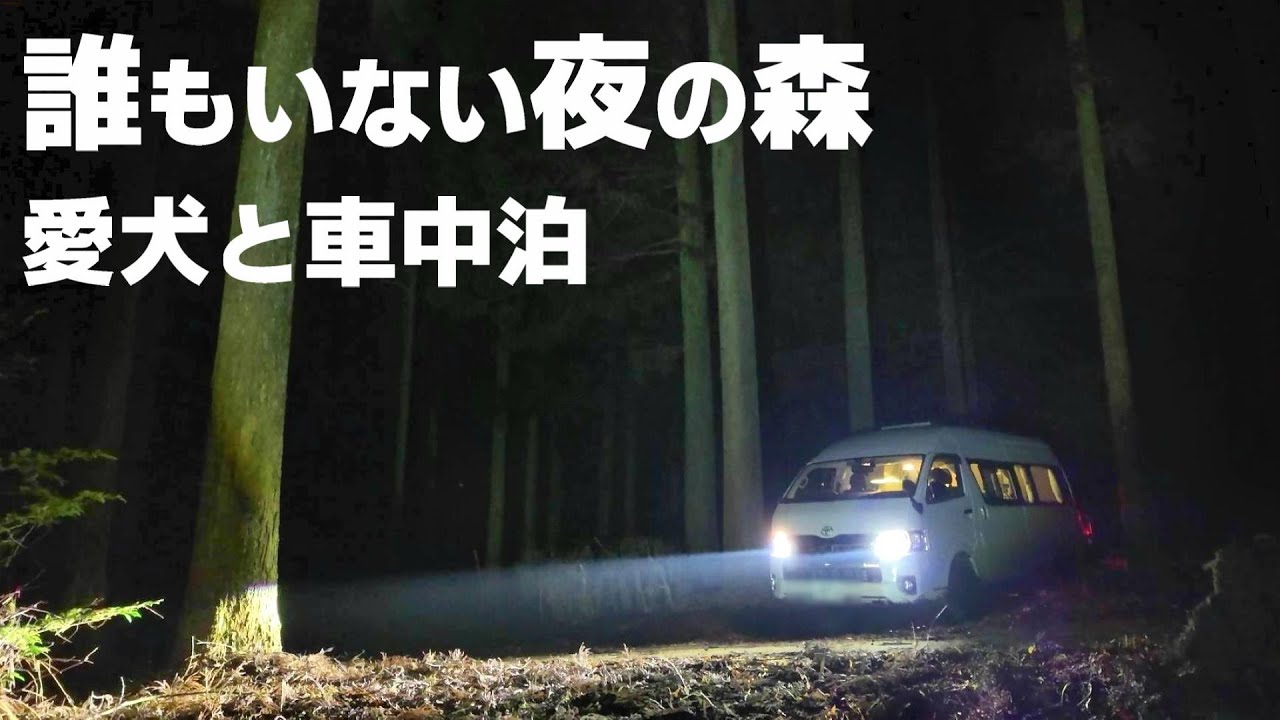 誰もいない山奥のキャンプ場。愛犬とキャンピングカーで車中泊【レクビィ：プラスSL＋1】