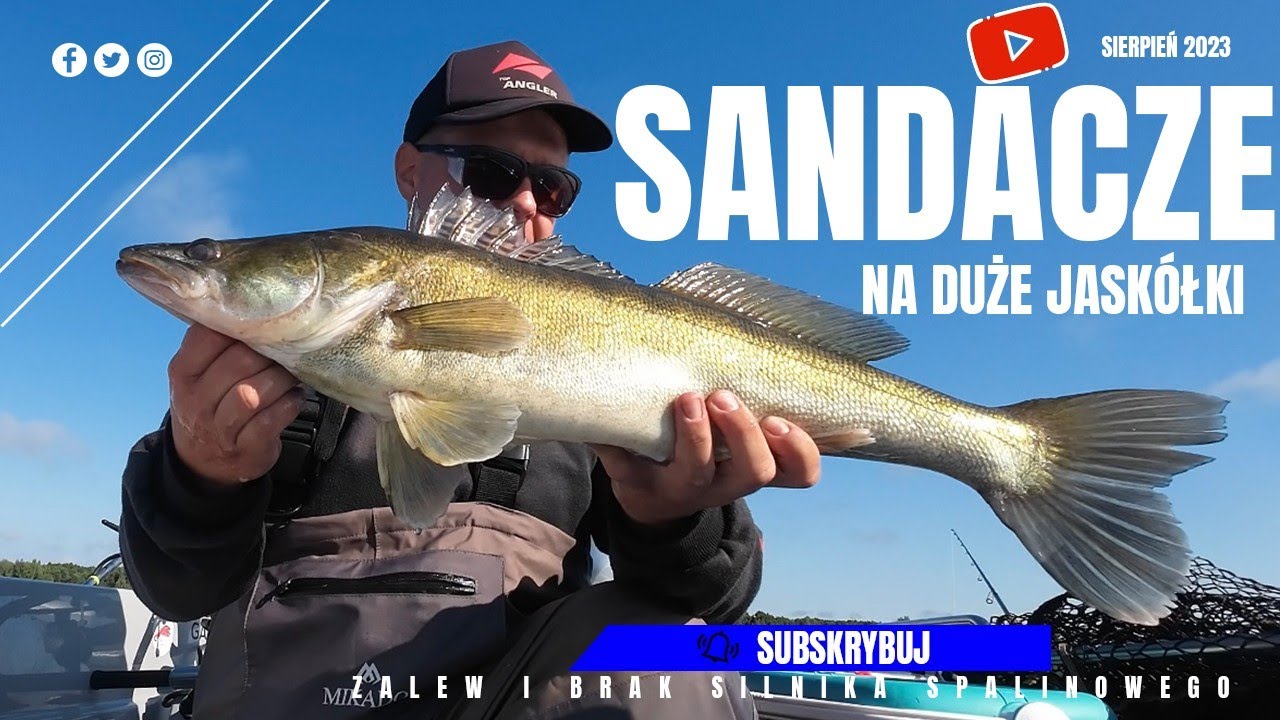 DUŻE SANDACZE NA JASKÓŁKI !!!