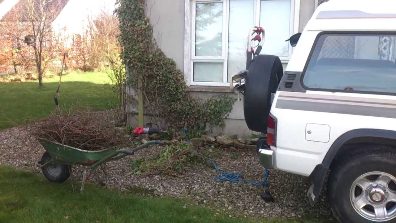 Ivy Removal