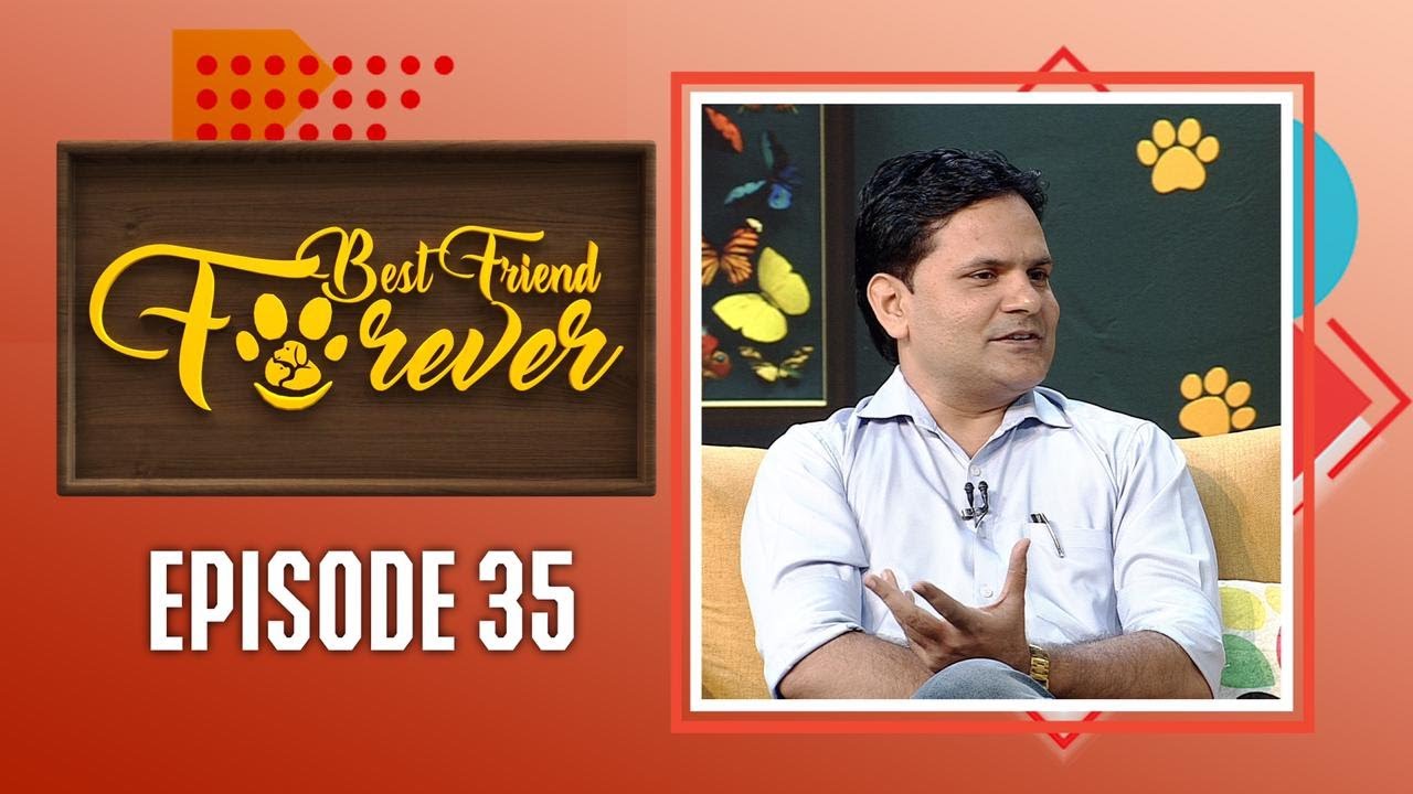 Best Friend Forever/Pet show/Episode #35 / Urinary Tract Problems in Cats / Spay and Neuter in Cats