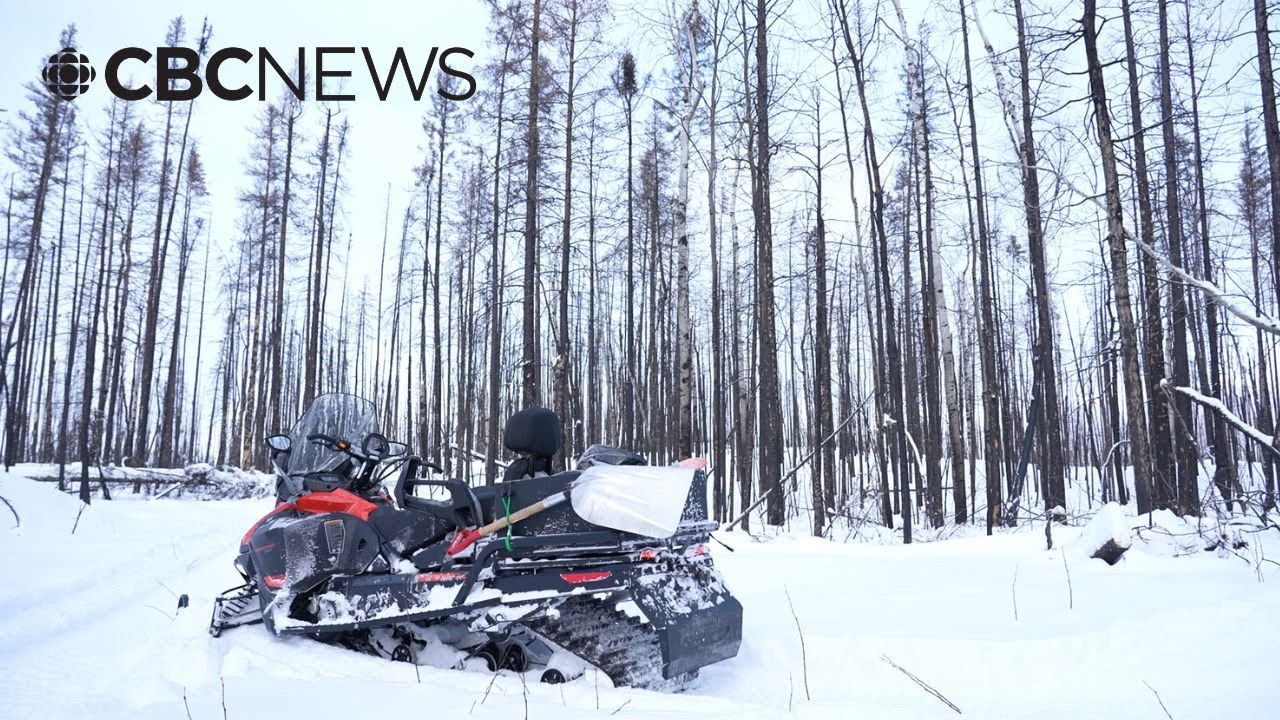 After wildfires, lack of snow, Flin Flon groups prepare winter trails
