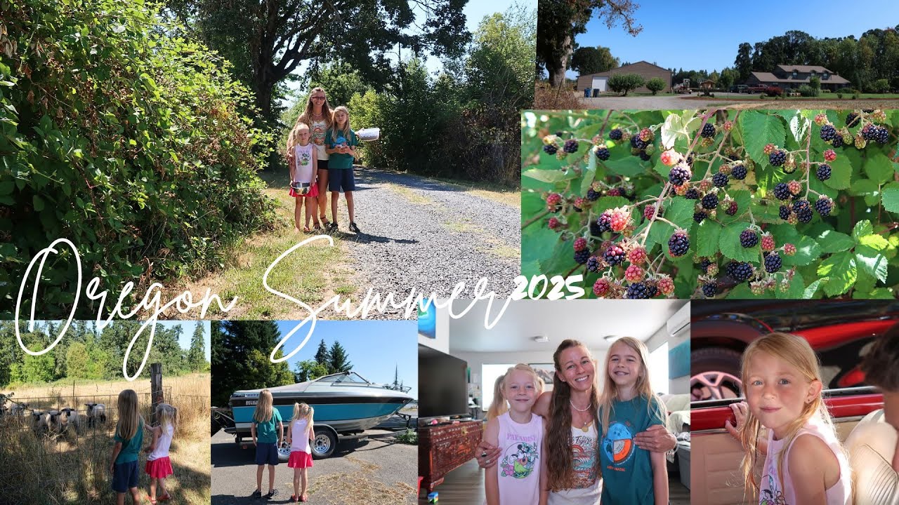 Berry Picking Summer at Home 2025