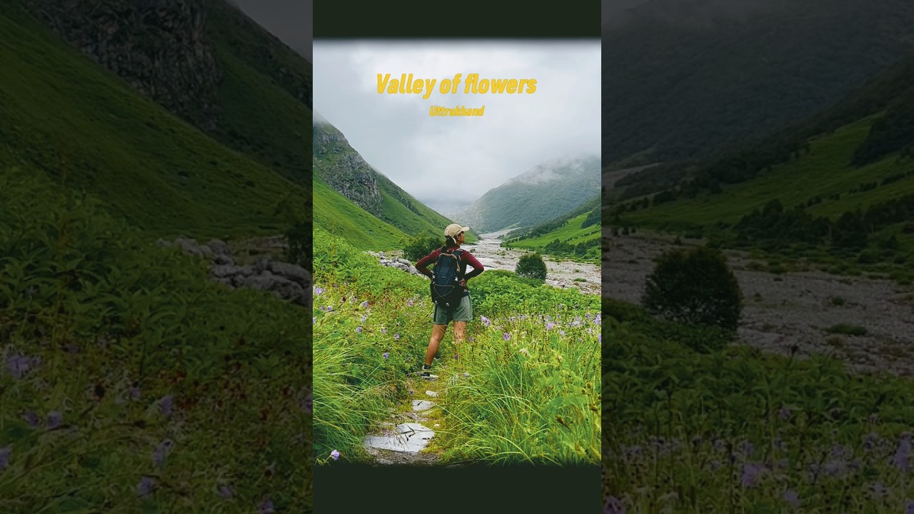 Valley of flowers | Uttrakhand | Solo trek #valleyofflower #solotrek #uttrakhand