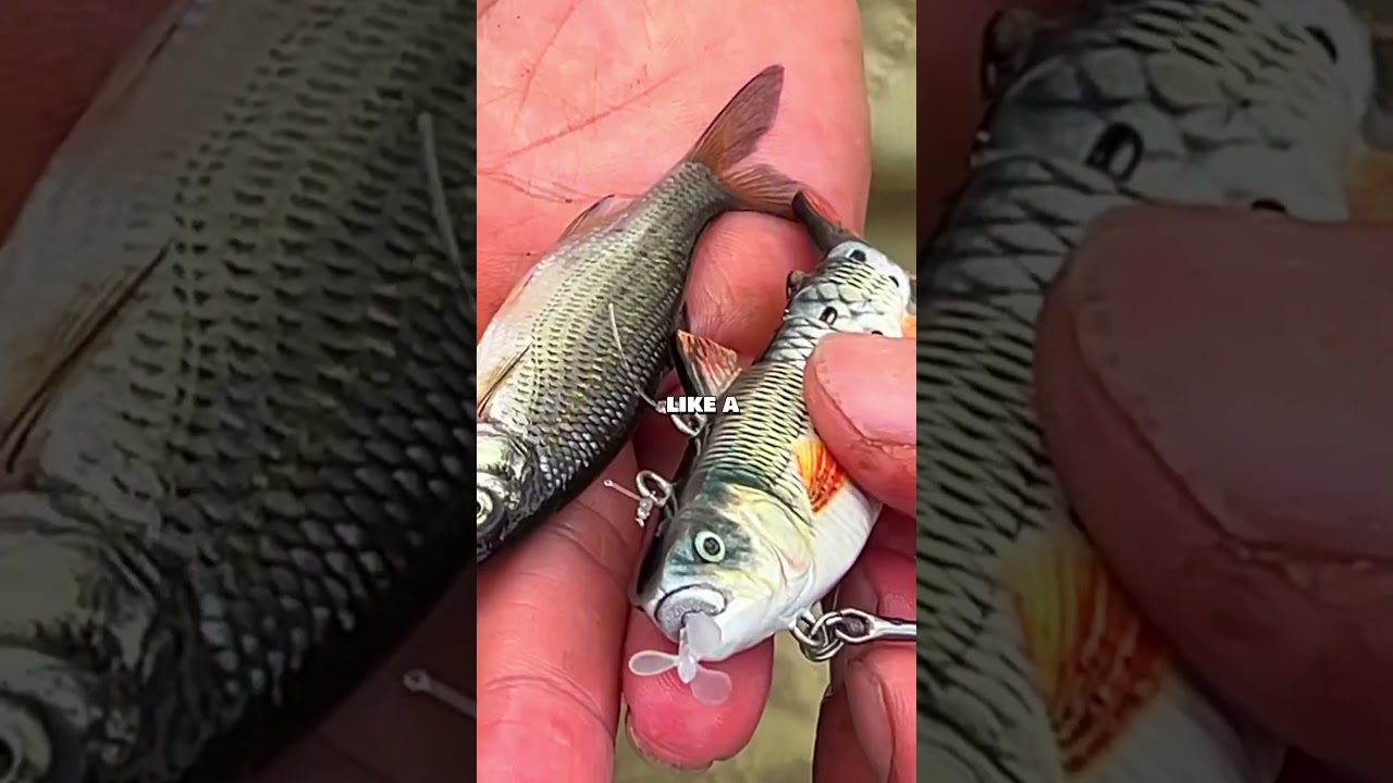 VIRAL robot fishing lure: EXPECTATIONS vs REALITY #fishing