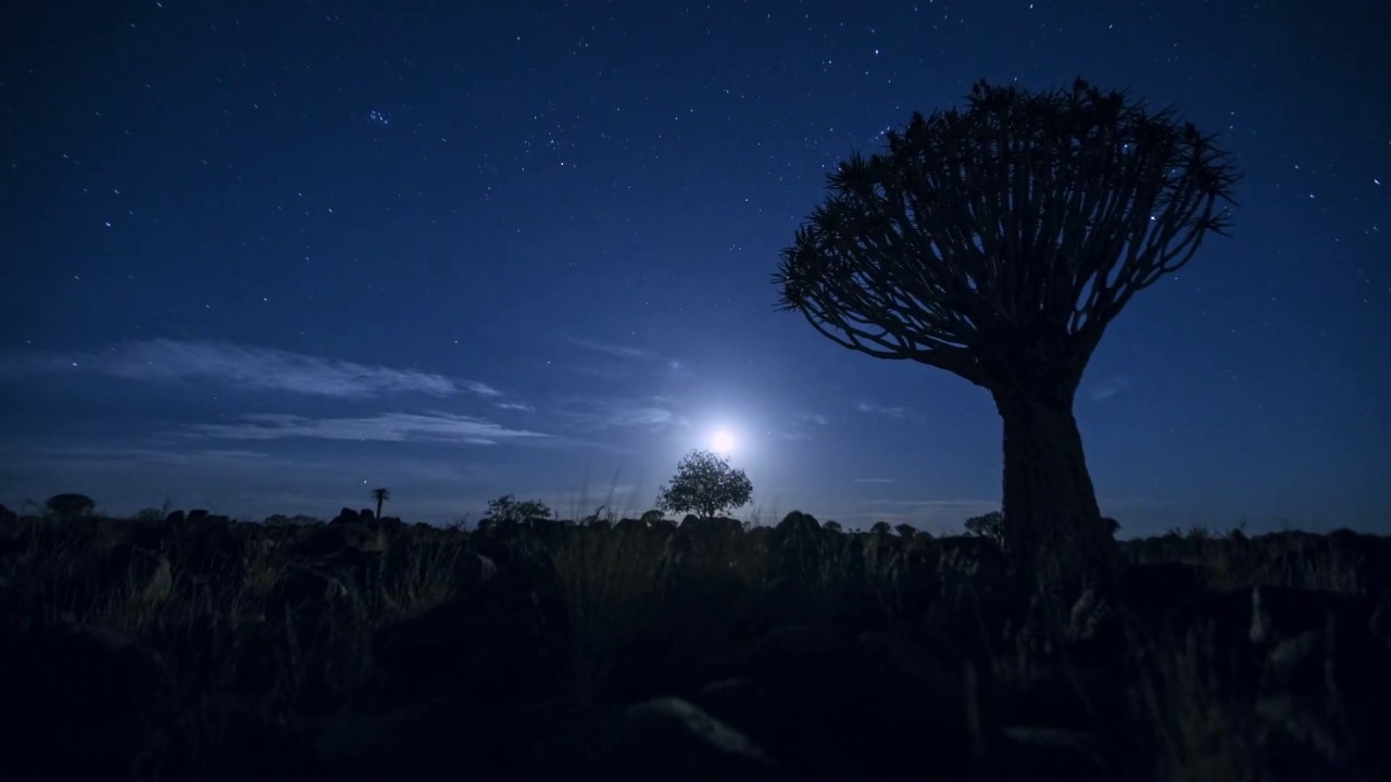 Mathieu Le Lay - In the Starlight ( trailer )