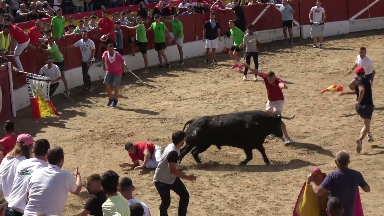 Cogida en El Casar 5 9 2023