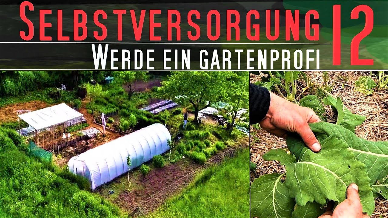 Gartenprofi Teil 12 f&uuml;r Max. Ertrag | Selbstversorgung| Garten Tipps im Mai-Juni