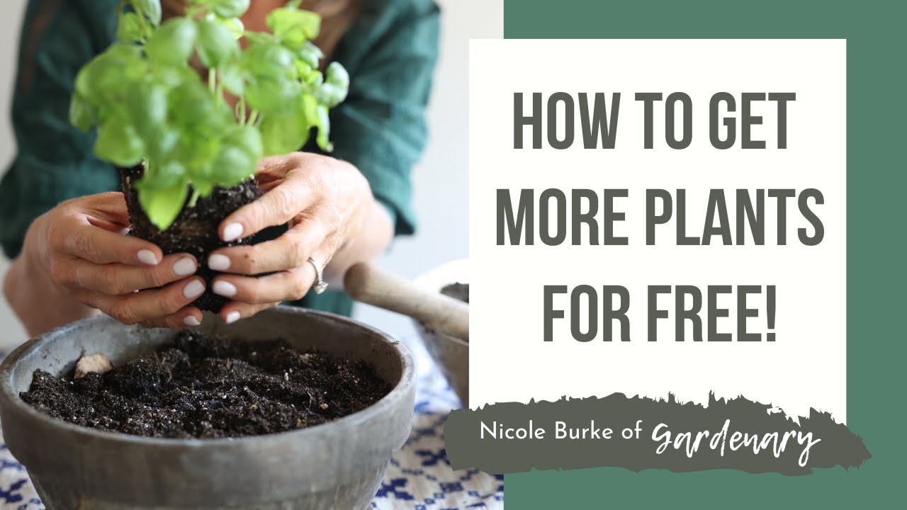 How to Get More Plants for Free!