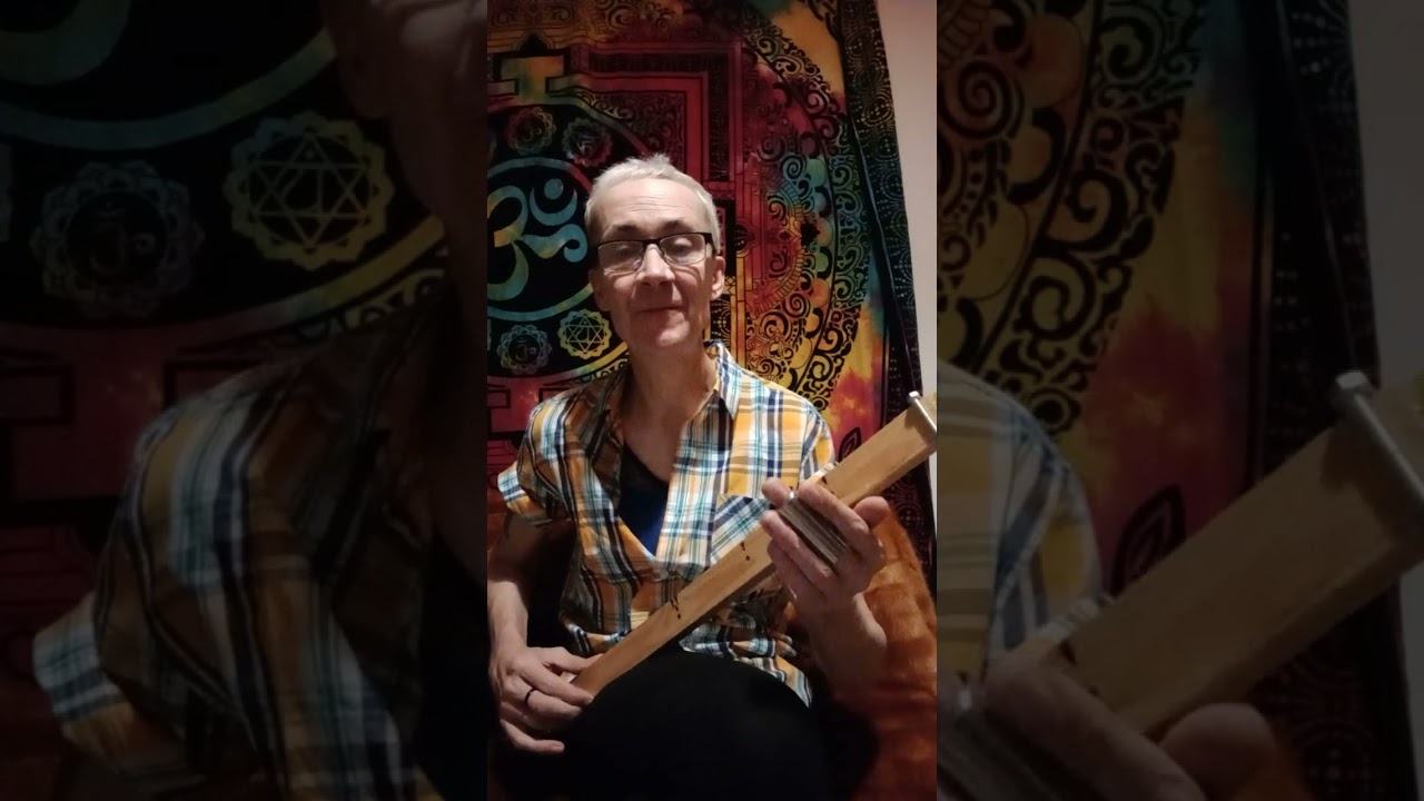 One stringer lesson - canjo/ diddley bow. simple blues lick and shuffle 🎸