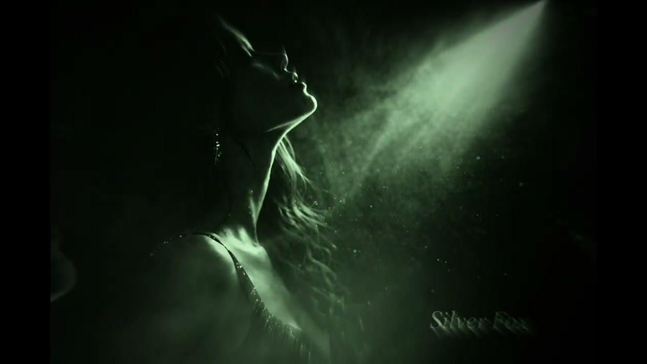 Silver Fox – In The Dark