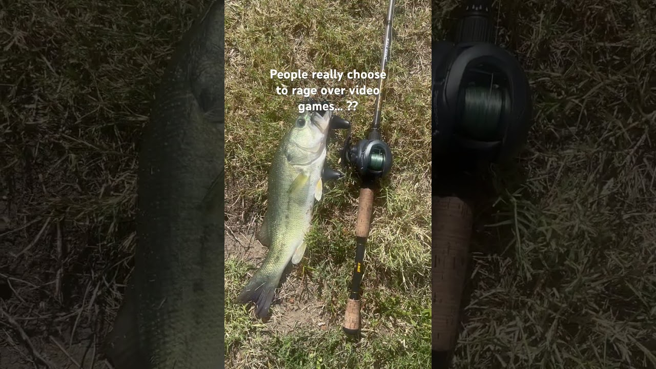 Just being honest 