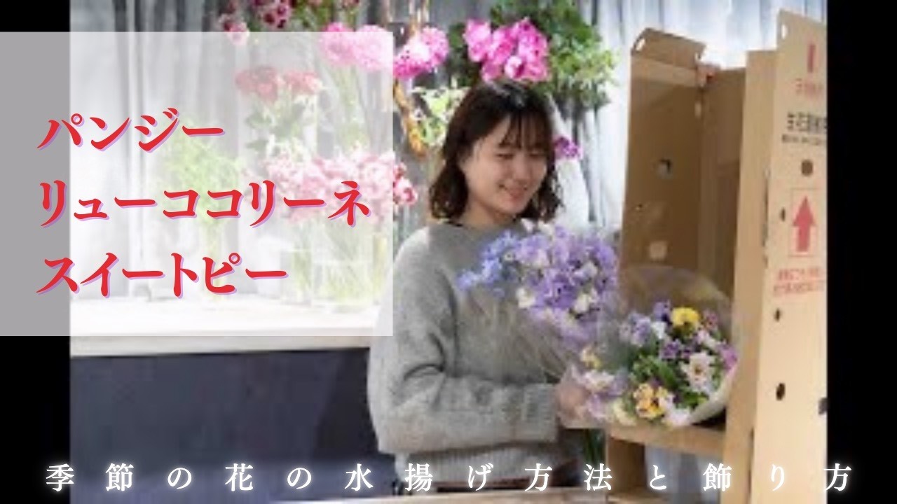 季節の花水揚げ方法　パンジー カルメンリューココリーネスイートピー　市場直送便　1/17・20