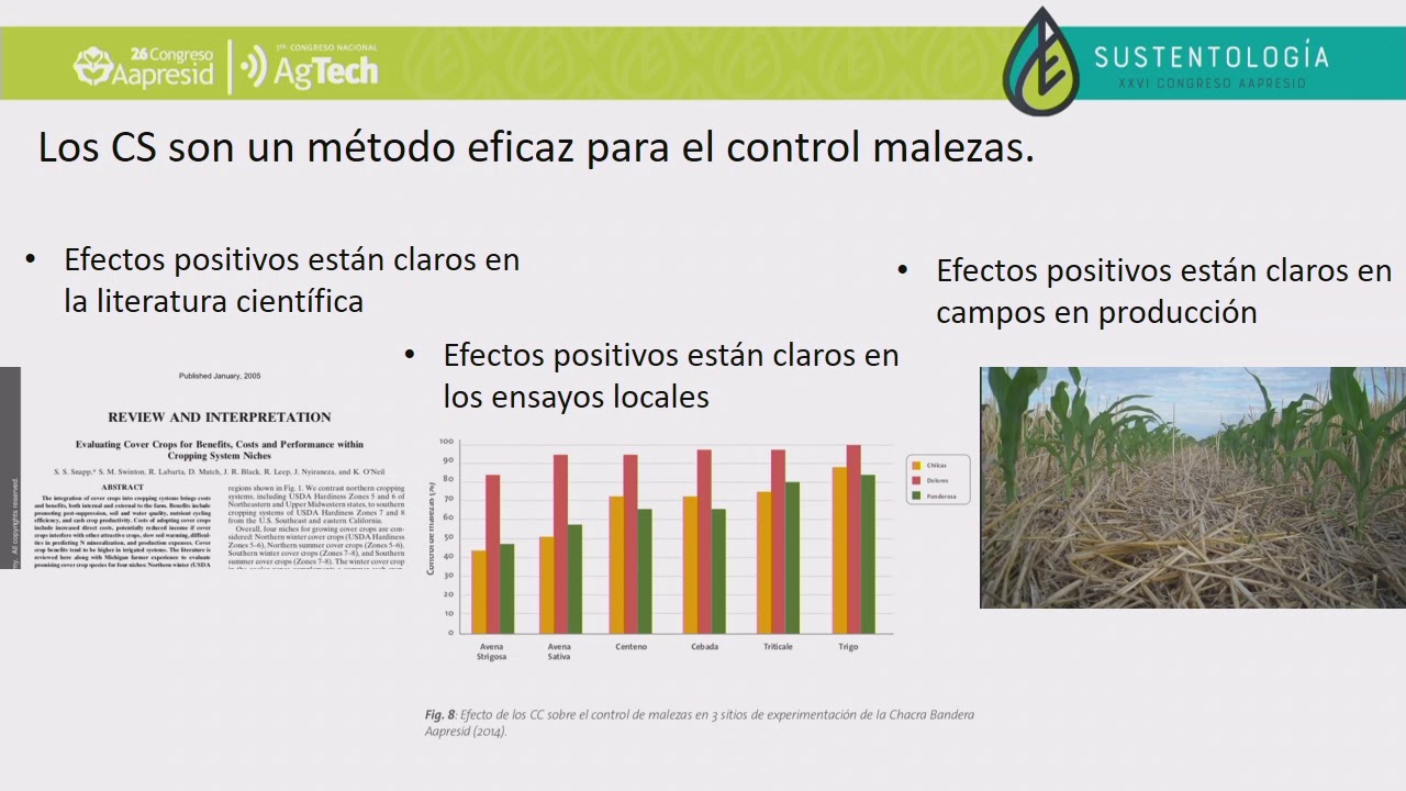 Manejo en malezas, cultivos de servicios y rotaciones. El todo más que la suma de las partes