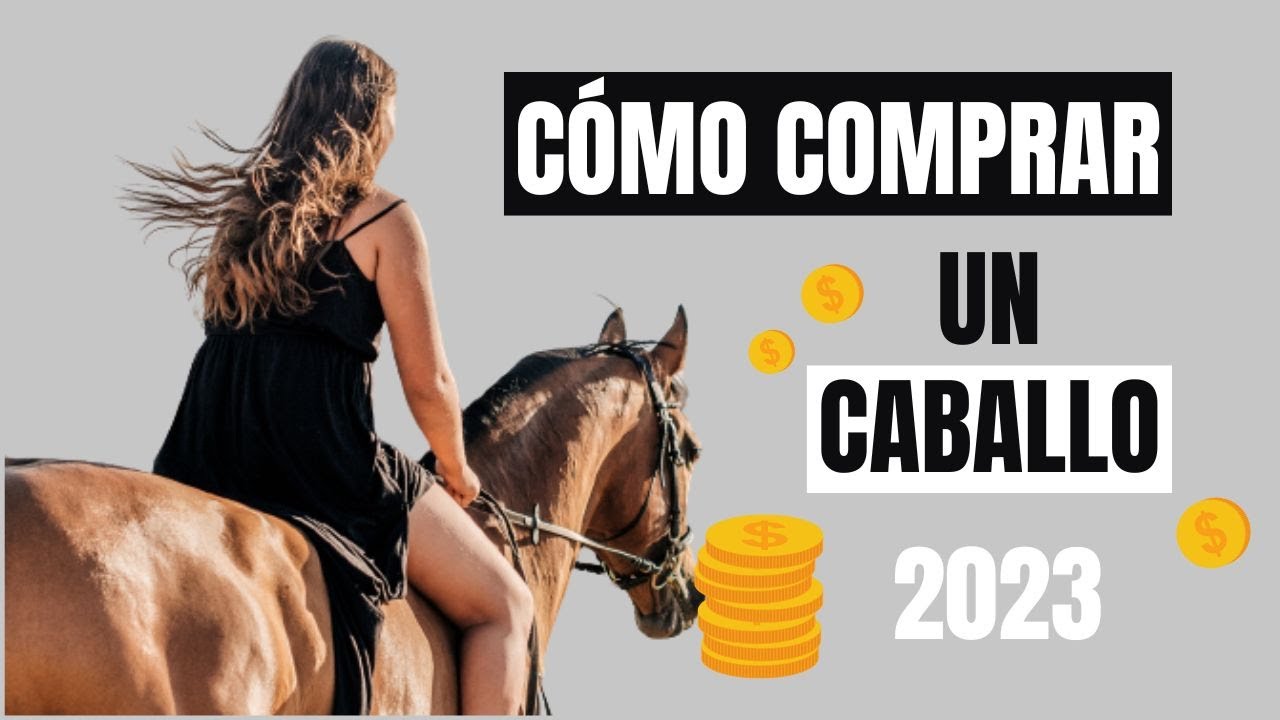 5 CONSEJOS para COMPRAR un CABALLO 🐴 Gastos, veterinario, leyes... (2023)