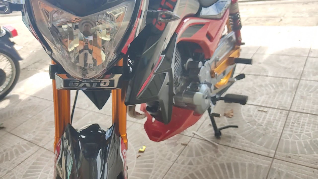 Cg 300 Gato 2021