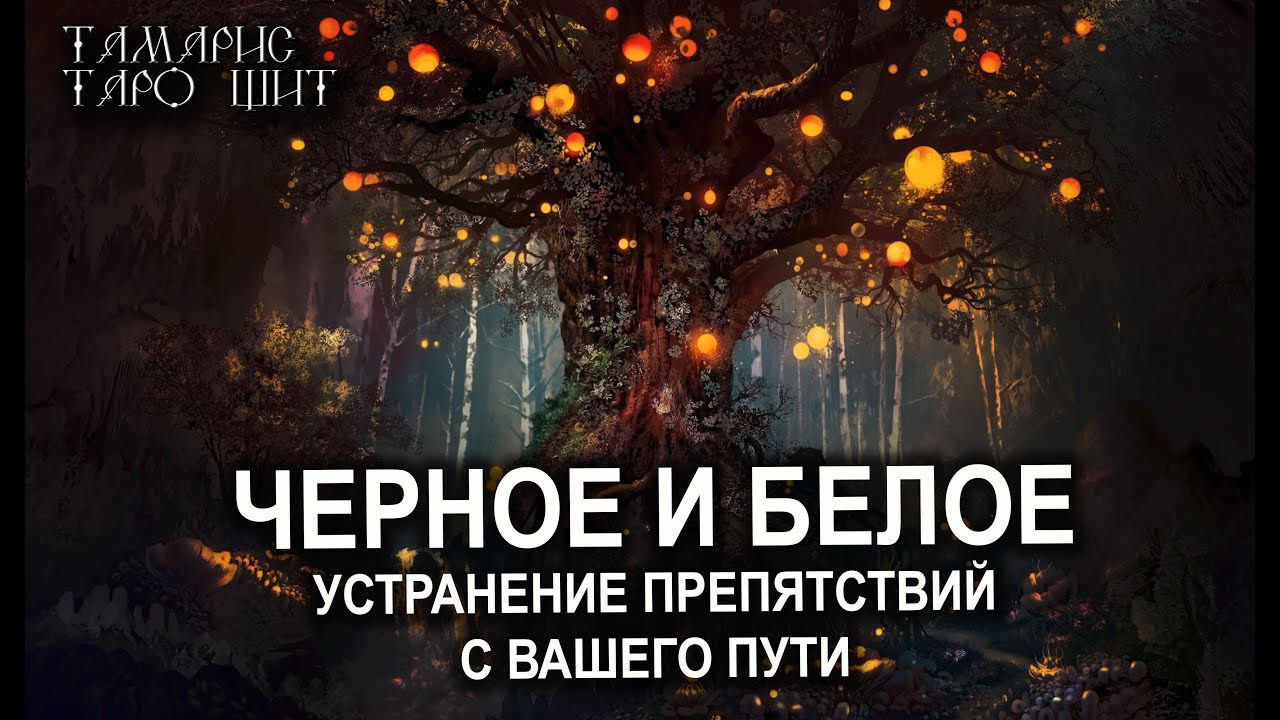КАК ВАМ УСТРАНИТЬ ПРЕПЯТСТВИЯ С ПУТИ💯ТАРО / РАСКЛАД / ГАДАНИЕ