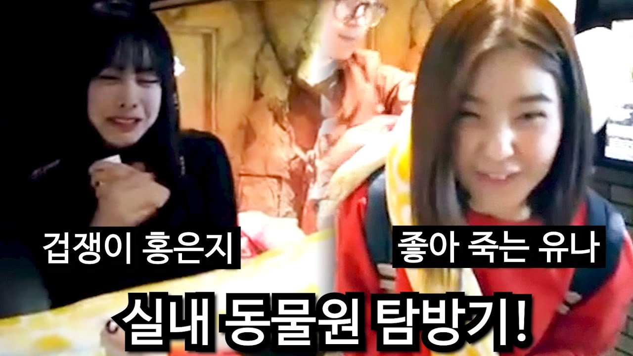 실내동물원 탐방! 은지 유나 / 겁쟁이 홍은지 | 브레이브 걸스