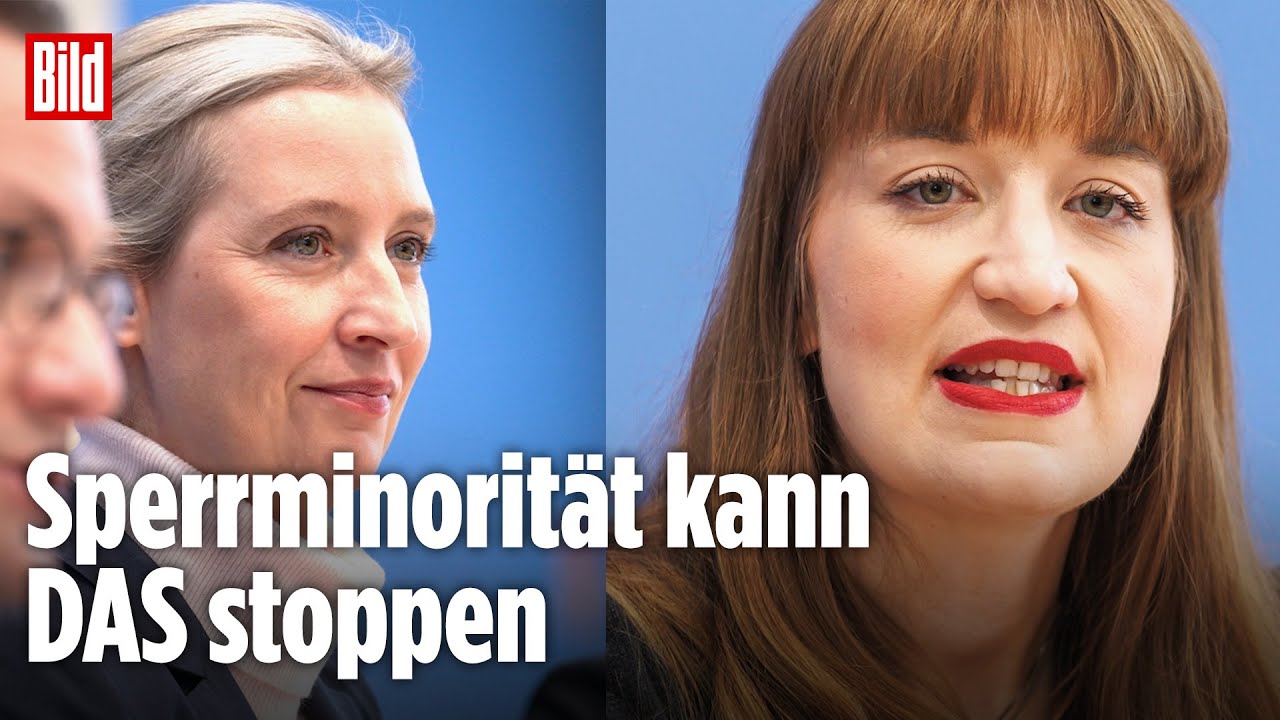 So viel Macht haben AfD und Linke