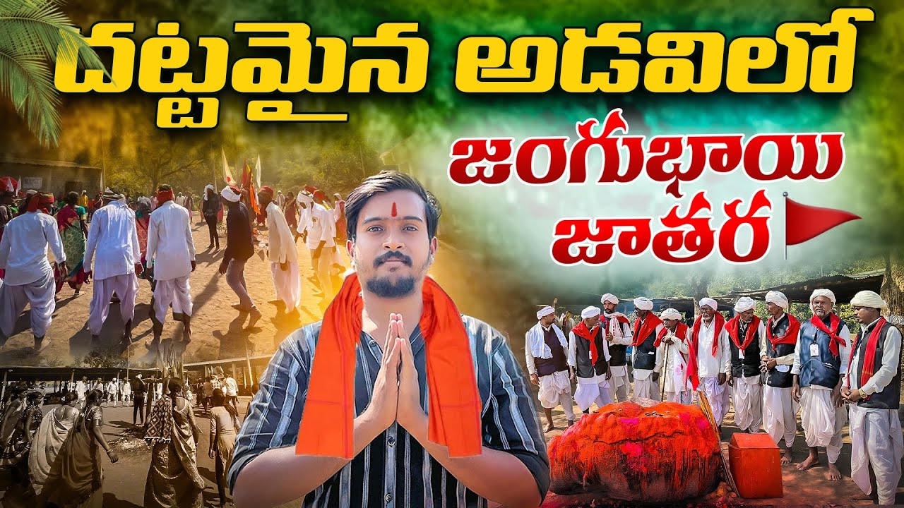Jangu Bai Jatara || Komuram Bheem Asifabad || Adivasi jatara