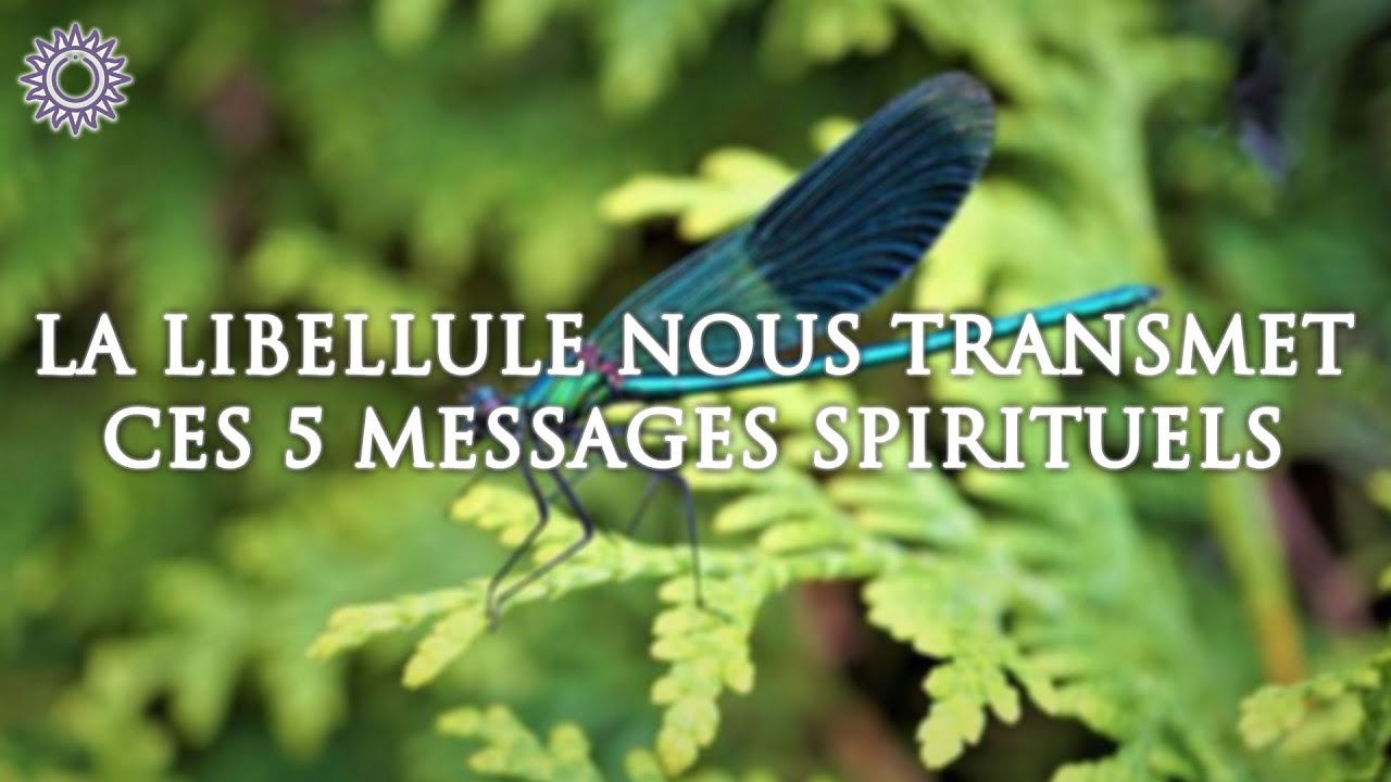 🦟 LA LIBELLULE NOUS TRANSMET CES 5 MESSAGES SPIRITUELS