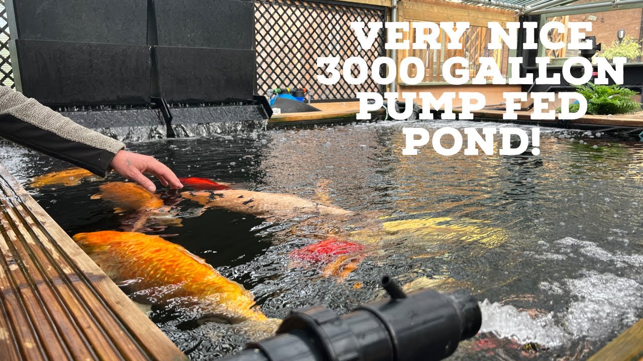 INDOOR 3000 GALLON KOI POND **PUMP FED**