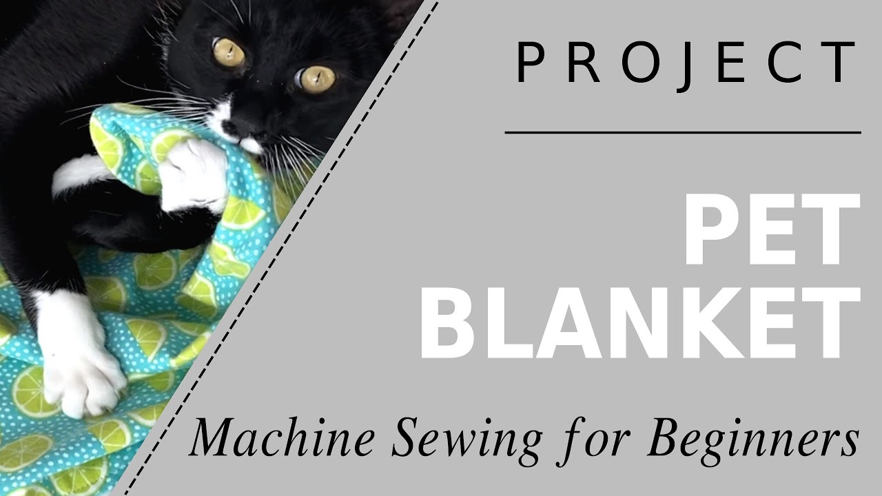 Sewing Service Project: Pet Blanket - Step by Step Project for Animal Shelter; Teach Sewing Classes