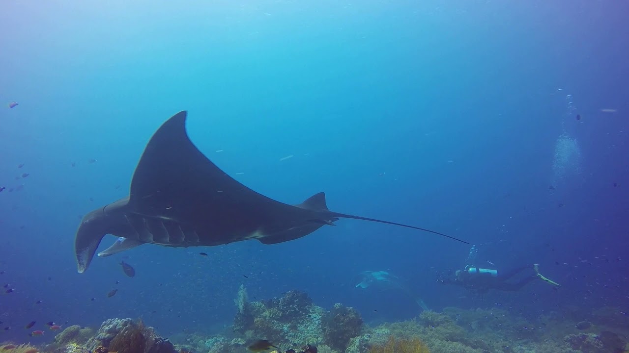 GOPR0447
