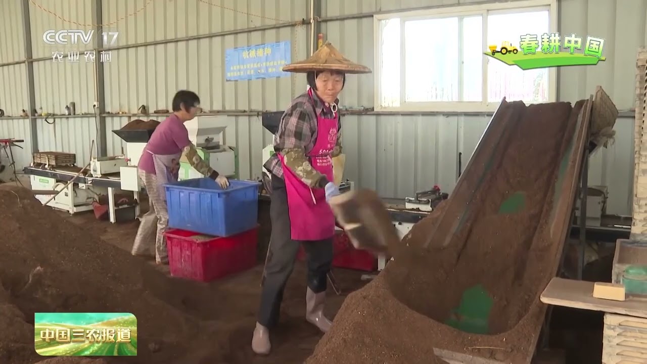 [中国三农报道]农业农村部 全国早稻育秧六成半 冬小麦苗情持续转化向好 | 农业致富经 Agriculture And Farming