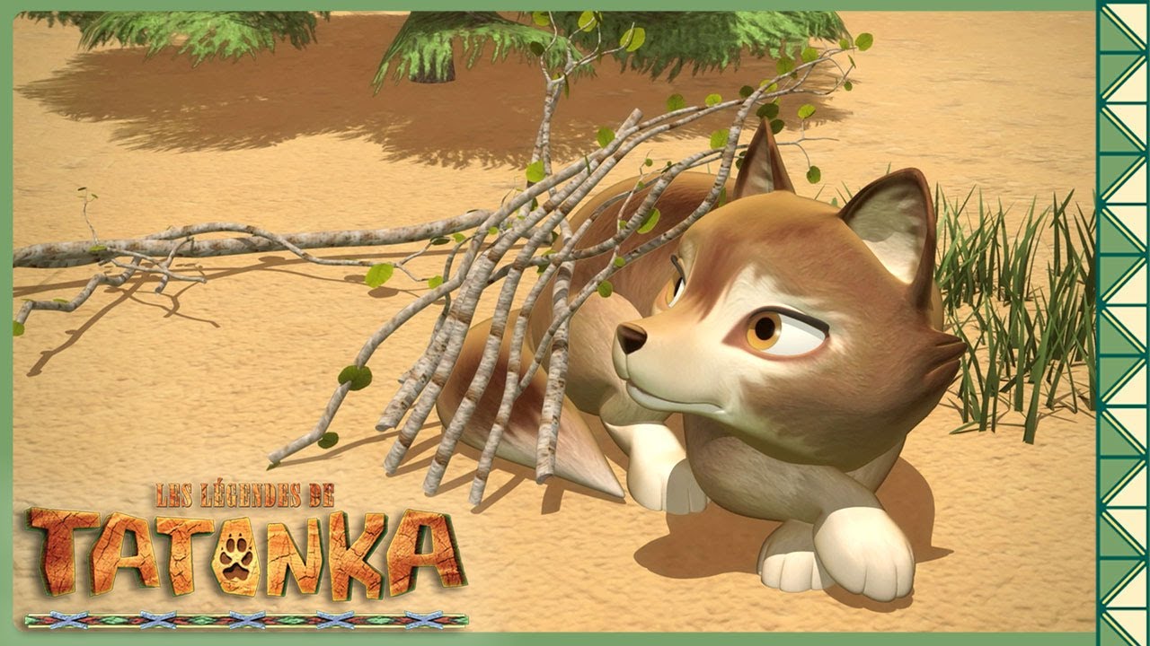 Mission sauvetage pour nos loups | Tatonka | Dessins animés d'animaux